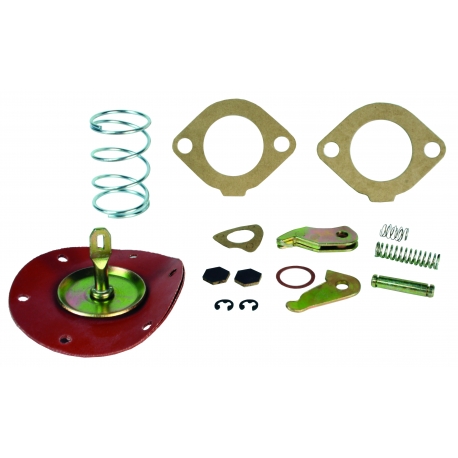 Fuel pump rebuild kit, 25 30HP