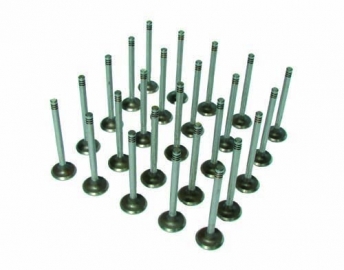 Inlet valve, 31.5mm, 1.2 8/60 ,T2  65