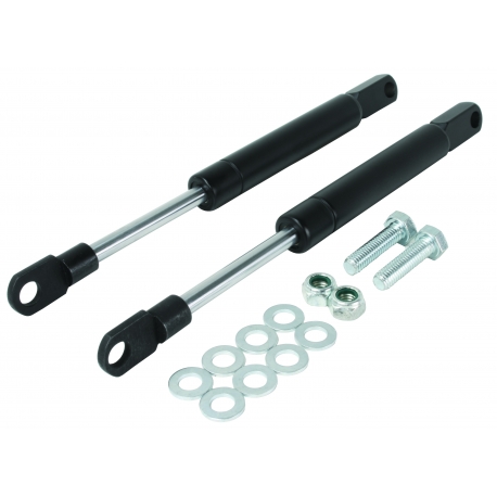 Bonnet Hinge Dampers, Inc Fixings, Pair, 1303, Beetle 73-79