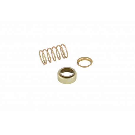 Steering Column Bearing, T2 55-67 Inc Spring/washer